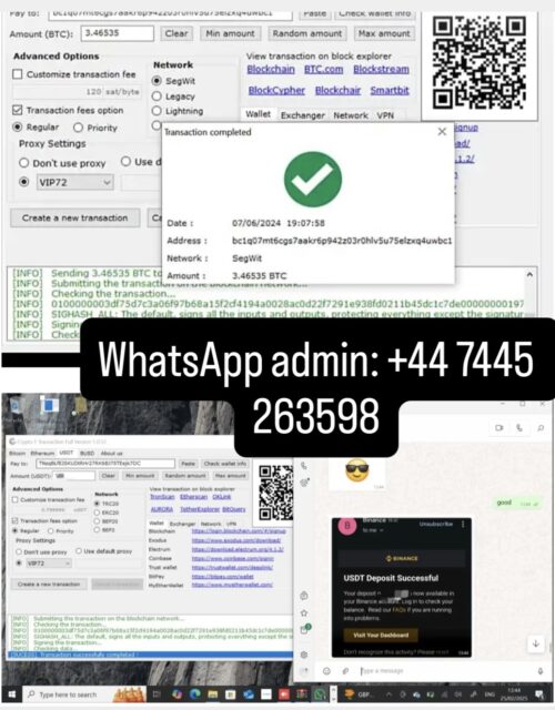 Fake Bitcoin Transaction Sender Software